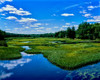 View of the Middle Branch Moose River, Adirondack Mountains, New York State, USA Poster Print by Panoramic Images - Item # VARPPI167228