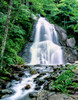 Waterfall in a forest, Moss Glen Falls, 3873 Route 100, Granville Reservation State Park, Granville, Vermont, USA Poster Print by Panoramic Images - Item # VARPPI167330