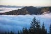 Fog fills the valleys below at dawn on Saddle Mountain; Hamlet, Oregon, United States of America Poster Print by Robert L. Potts / Design Pics - Item # VARDPI12277995