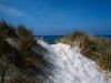 Sand dunes on beach, Abers Coast, Finistere, Brittany, France Poster Print by Panoramic Images - Item # VARPPI172968