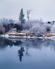 Hoar frost on Pacific willow, Deschutes River, Deschutes National Forest, Deschutes County, Oregon, USA Poster Print by Panoramic Images - Item # VARPPI173797