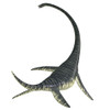 Rear view of an Elasmosaurus aquatic reptile. Poster Print by Corey Ford/Stocktrek Images - Item # VARPSTCFR200892P