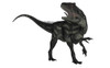 Allosaurus dinosaur roaring, isolated on white background. Poster Print by Elena Duvernay - Item # VARPSTEDV600391P
