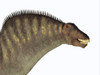 Amargasaurus dinosaur portrait. Poster Print by Corey Ford/Stocktrek Images - Item # VARPSTCFR200886P