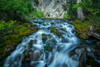 Creek flowing over moss covered rocks, Grassi Lakes Creek, Canmore, Alberta, Canada Poster Print by Panoramic Images - Item # VARPPI174080