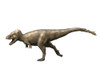 Tyrannosaurus rex dinosaur on white background. Poster Print by Nobumichi Tamura/Stocktrek Images - Item # VARPSTNBT600189P