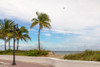 Beach with palm trees and a helicopter in air in Fort Lauderdale, Broward County, Florida, USA Poster Print by Panoramic Images - Item # VARPPI175344