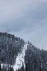 Ski lifts, Peak 2 Peak Gondola, Whistler Mountain, Whistler, British Columbia, Canada Poster Print by Panoramic Images - Item # VARPPI157692