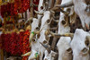 Hunting trophies and chili peppers on market stall, Santa Fe, New Mexico, USA Poster Print by Panoramic Images - Item # VARPPI173719