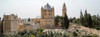 Church of Hagia Maria Abbey and Christian Cemetery, Jerusalem, Israel Poster Print by Panoramic Images - Item # VARPPI183263