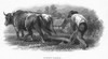 Ploughing, C1870. /Namerican Bank Note Engraving, C1870. Poster Print by Granger Collection - Item # VARGRC0017557