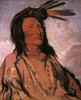 Sioux Chief: Tobacco. /Ntobacco, Oglala Chief, Lakota Sioux: Oil On Canvas, 1832, By George Catlin. Poster Print by Granger Collection - Item # VARGRC0063598