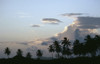 Coconut Palms /N(Cocos Nucifer) At Sunset. Gilbert Islands, Micronesia. Poster Print by Granger Collection - Item # VARGRC0055080