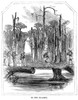 Civil War: Swamp, 1863. /Nunion Army Troops Exploring A Swamp Near Vicksburg, Mississippi. Wood Engraving, American, 1865. Poster Print by Granger Collection - Item # VARGRC0322984