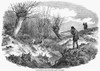 Rabbit Hunting, 1850. /N'Rabbit-Shooting Near Tunbridge.' Wood Engraving, English, 1850. Poster Print by Granger Collection - Item # VARGRC0051608