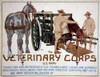 Poster: Veterinary Corps. /Nrecruiting Poster Advertising The Veterinary Corps Of The U.S. Army. Lithograph By Horst Schreck, 1919. Poster Print by Granger Collection - Item # VARGRC0326058