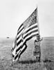 Wisconsin: Patriotism. /Na Patriotic Young Woman Posing With The American Flag On The Wisconsin Prairie, C1900. Poster Print by Granger Collection - Item # VARGRC0130951