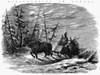 Hunting: Moose, 1858. /Nmoose Hunting In Canada. 'En Route To The Hunting Ground.' Wood Engraving, 1858. Poster Print by Granger Collection - Item # VARGRC0080986