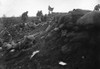World War I: Trench, C1916. /Nscottish Troops During A Battle In Europe During World War I. Photograph, C1916. Poster Print by Granger Collection - Item # VARGRC0183779