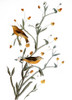 Audubon: Warbler. /Npalm, Or Yellow Red-Poll, Warbler (Setophaga Palmarum, Formerly Dendroica Palmarum), After John James Audubon For His 'Birds Of America,' 1827-38. Poster Print by Granger Collection - Item # VARGRC0007583