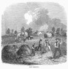 Making Hay, C1855. /Nwood Engraving, American, Mid-19Th Century. Poster Print by Granger Collection - Item # VARGRC0092901