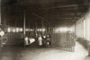 Hine: Child Labor, 1912. /Ninterior View Of The Large Warping Room With Young Workers At A Textile Mill In Lonsdale, Rhode Island. Photograph By Lewis Hine In November 1912. Poster Print by Granger Collection - Item # VARGRC0167540