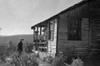 Virginia: Home, 1935. /Nhome Of Mrs. Bailey Nicholson In Shenandoah National Park, Virginia. Photograph By Arthur Rothstein, October 1935. Poster Print by Granger Collection - Item # VARGRC0621066