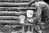 Arkansas: Sharecropper. /Na Sharecropper Washing His Hands In A Small Water Basin, Ozark Mountain, Arkansas. Photograph By Ben Shahn In October 1935. Poster Print by Granger Collection - Item # VARGRC0120107