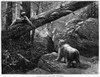 Bear Hunt, 1876. /Nhunting Bear In The Rocky Mountains. Wood Engraving, American, 1876. Poster Print by Granger Collection - Item # VARGRC0054441