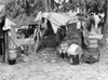 Migrant Worker, 1939. /Na Migrant Worker'S Shack In A Shanty Town, Near Canal Point, Florida. Photograph By Marion Post Wolcott, 1939. Poster Print by Granger Collection - Item # VARGRC0002427