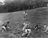 England: Fox Hunting. /Nphotographed In The 20Th Century. Poster Print by Granger Collection - Item # VARGRC0080991