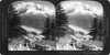 Alps: Aiguille Verte, C1908. /Nthe Hamlet Of Les Frasserands And The Aiguille Verte And Du Dru Mountains In The French Alps. Stereograph, C1908. Poster Print by Granger Collection - Item # VARGRC0325892