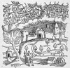 Dwellers In The Sky. /Nafter A Woodcut, German, 16Th Century. Poster Print by Granger Collection - Item # VARGRC0091335