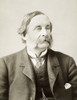 Thomas Higginson (1823-1911). /Nthomas Wentworth Storrow Higginson. American Cleric, Soldier And Writer. Original Cabinet Photograph, C1885. Poster Print by Granger Collection - Item # VARGRC0045016