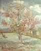 Van Gogh: Peach Tree, 1888. /Npeach Trees In Blossom (Souvenir De Mauve). Canvas, March 1888, By Vincent Van Gogh. Poster Print by Granger Collection - Item # VARGRC0026911