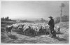Shepherd, 19Th Century. /Nsteel Engraving After Rosa Bonheur (1822-1899). Poster Print by Granger Collection - Item # VARGRC0079685
