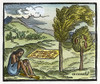 New World: Chocolate, 1563. /Nan Aztec Grinding Chocolate Under The Cacao Tree. Woodcut From Benzoni'S 'Historia Del Mondo Nuovo,' 1563. Poster Print by Granger Collection - Item # VARGRC0042166