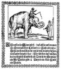 Elephant Broadsheet, C1629. /Ngerman Woodcut Broadsheet, C1629. Poster Print by Granger Collection - Item # VARGRC0043419