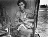 Migrant Mother, 1936. /Nflorence Thompson, A 32-Year-Old Migrant Mother, Nursing Her Child At A Migrant Worker'S Camp In Nipomo, California. Photograph By Dorothea Lange, 1936. Poster Print by Granger Collection - Item # VARGRC0032781
