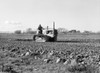 California: Farming, 1939. /Nfarmer Tilling A Potato Field With A Tractor In California. Photograph By Dorothea Lange, February 1939. Poster Print by Granger Collection - Item # VARGRC0123124