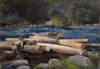 Homer: Hudson River, 1892. /Nwatercolor, Winslow Homer, 1892. Poster Print by Granger Collection - Item # VARGRC0468487