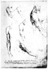Leonardo: Anatomy. /Nmyology Of Shoulder Region. Drawing By Leonardo Da Vinci, C1510. Poster Print by Granger Collection - Item # VARGRC0003690