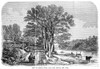 Harlem High Bridge, 1854. /Nthe High Bridge Over The Harlem River, New York. Wood Engraving, American, 1854. Poster Print by Granger Collection - Item # VARGRC0354190