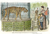 Zoological Garden, 1891. /Nvisitors To The Zoological Gardens In London'S Regent'S Park. Line Engraving, 1891, After George Du Maurier (1834-1896). Poster Print by Granger Collection - Item # VARGRC0051892
