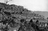 Machu Picchu, 1912. /Nview Of The West Side Of The Inca Ruins At Machu Picchu, August 1912, After Six Weeks Of Clearing By The Yale Peruvian Expedition, Led By Hiram Bingham. Poster Print by Granger Collection - Item # VARGRC0088729