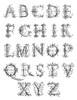 Alphabet, 16Th Century. /Nornamented Alphabet, Italian, 16Th Century. Poster Print by Granger Collection - Item # VARGRC0078899