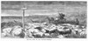 Hog Driving, 1868. /Ndriving Hogs To The Chicago Market. Wood Engraving, 1868. Poster Print by Granger Collection - Item # VARGRC0091999