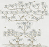 Guggenheim Family Tree Poster Print by Science Source - Item # VARSCIBN2282