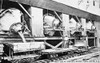 Panama Canal, 1910S. /Nthe Pouring Of Mixed Cement For The Construction Of The Gatun Locks Of The Panama Canal. Original Souvenir Photopostcard From Panama City. Poster Print by Granger Collection - Item # VARGRC0039895