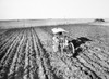 America: Plowing, 1929. /Na Subsoiler Working In The Beet Fields Of South Dakota. Photographed In 1929. Poster Print by Granger Collection - Item # VARGRC0045809